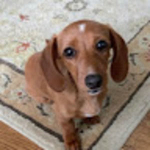 Meet your Posher, Mary agnes